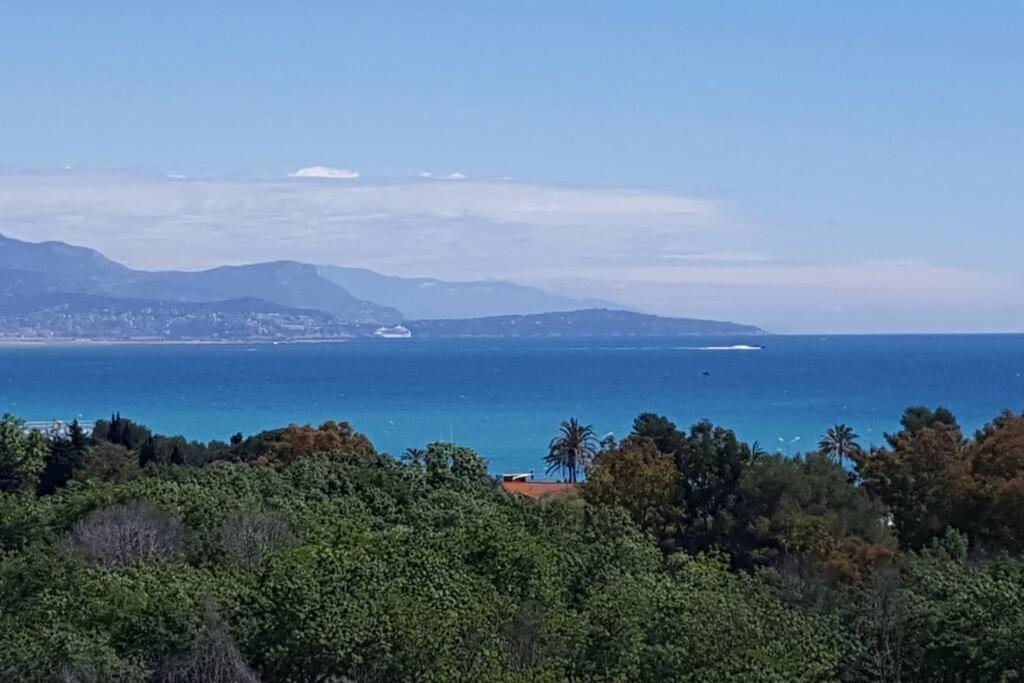 Superbe Appartement, Piscine, Vue Mer Et Montagnes Antibes Eksteriør bilde