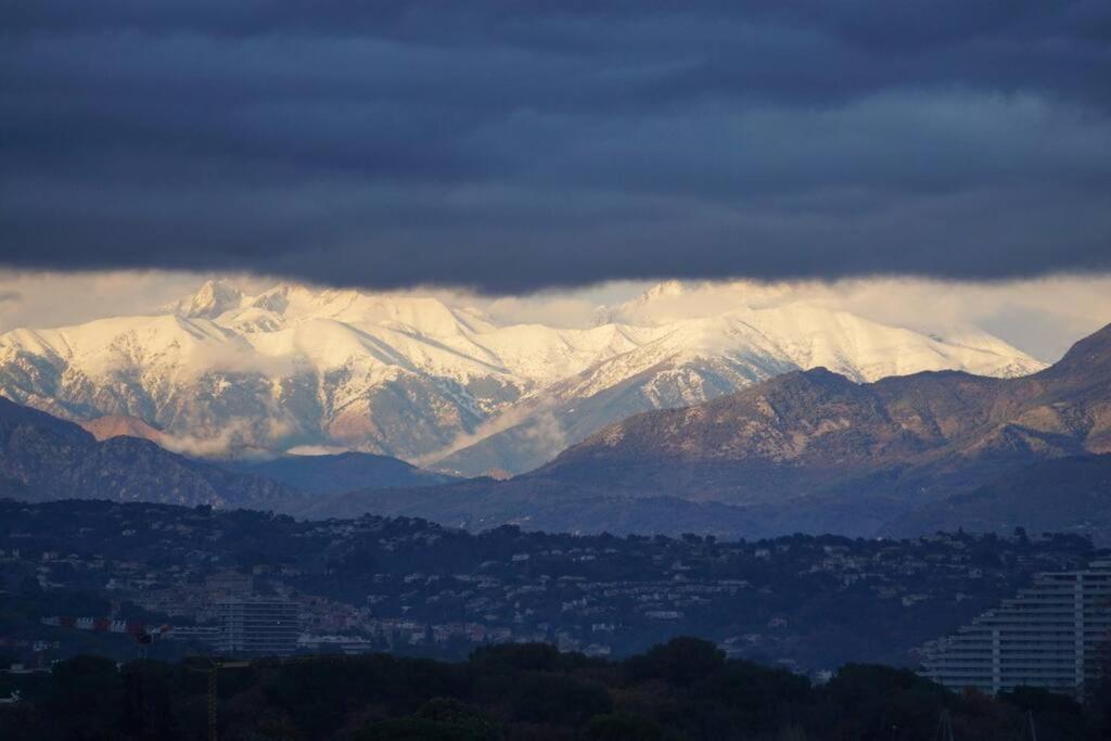 Superbe Appartement, Piscine, Vue Mer Et Montagnes Antibes Eksteriør bilde