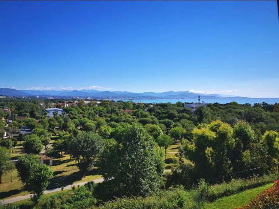 Superbe Appartement, Piscine, Vue Mer Et Montagnes Antibes Eksteriør bilde